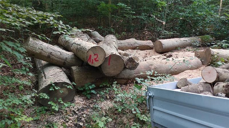 „Preiswertes“ Brennholz im Onlinehandel bedarf einer gründlichen Recherche des Anbieters.