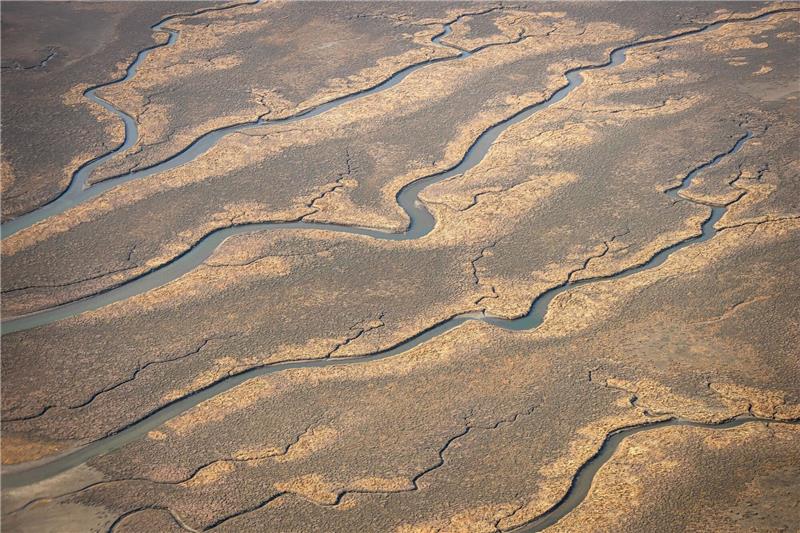 Salzwiesen helfen auch bei Klimaänderungen dem Küstenschutz Priele ziehen sich durch die Salzwiesen von Spiekeroog.