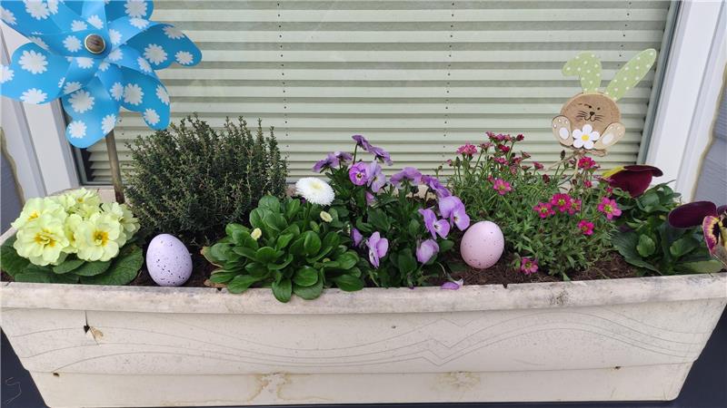 Bunt bepflanzter Blumenkasten mit Osterdekoration 