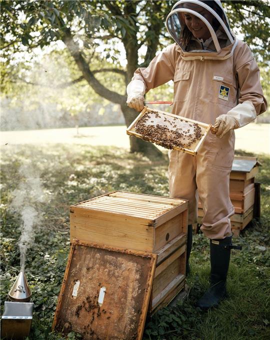 Prinzessin Kate im letzten Sommer bei der  Pflege eines Bienenstocks in den Gärten von Anmer Hall.