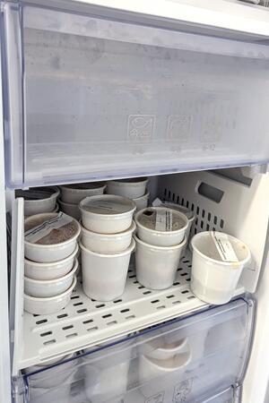 Oberharz: Was tut sich hinter den Kulissen einer Uni-Mensa? Proben lagern, für den Fall der Fälle, im Kühler.