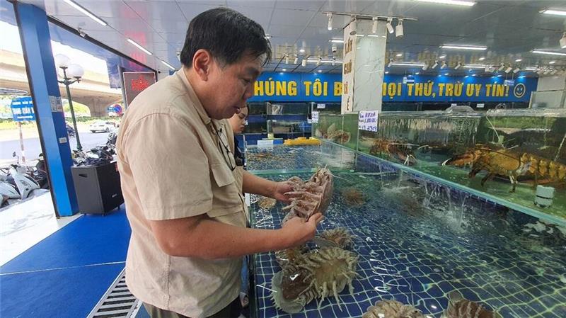 Professor Peter Ng untersucht Riesenasseln auf einem Fischmarkt in Hanoi in Vietnam.
