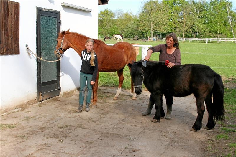 Pferde können nicht in Kurzarbeit gehen Putzen, pflegen, reiten. Beim Reitverein Lutter werden alle Aufgaben sorgfältig, aber mit dem vorgeschriebenen Corona-Abstand erledigt. Foto: Leifeld