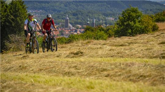 Radfahren, Joggen, aber auch Spazierengehen oder Yoga werden bei der Initiative "Bewegung für unseren Wald" akzeptiert.
