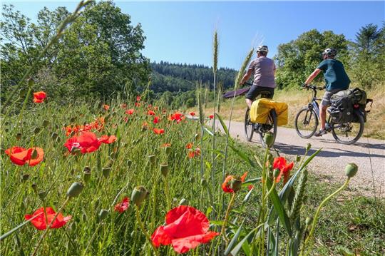 Radfahrer bei Gutenstein im Donautal. Nach den warmen Temperaturen der letzten Tage soll es etwas kühler werden.