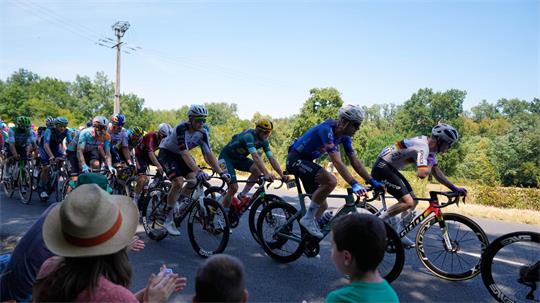 Radprofis bei der 113. Tour de France. 