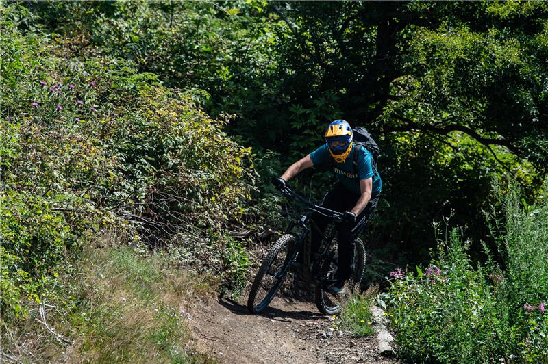 Radsportler fahren durch den Bikepark am Matthias-Schmidt-Berg im Harz. Nach den heißen Tagen wollen Freizeitorte im Harz Besucher wieder in das Mittelgebirge locken. Viele der Angebote in der Region kennen Urlauber sonst etwa aus den Alpen. Foto: picture alliance/dpa | Swen Pförtner