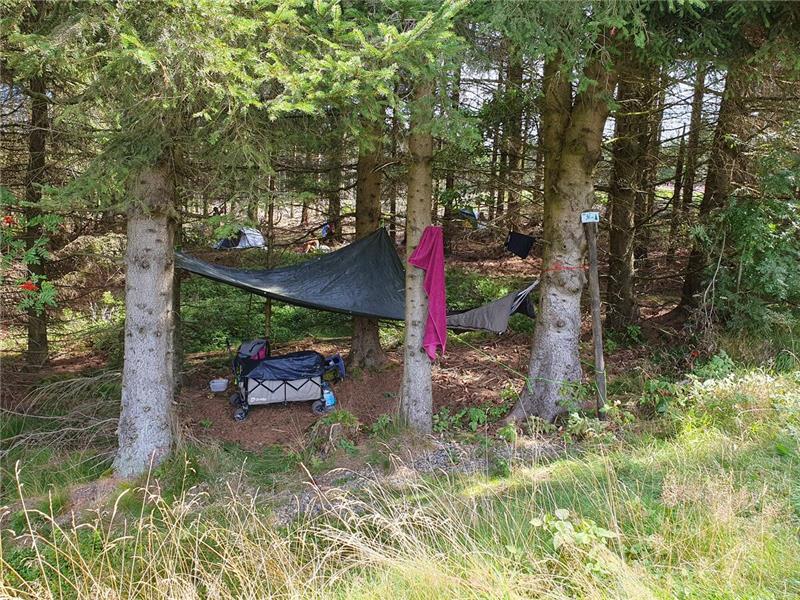 Rainbow Family Hippies Camper Solling Oberharz