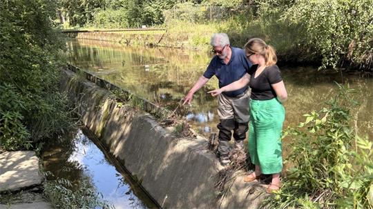 Zwei Personen stehen am Rand eines flachen Wasserkanals, der von Bäumen umgeben ist, und blicken auf das Wasser