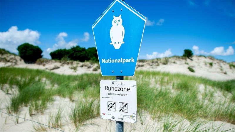 Wachen Nationalpark-Ranger bald auch auf der Nordsee? Ranger achten darauf, dass die Nationalpark-Regeln eingehalten werden. (Archivbild)