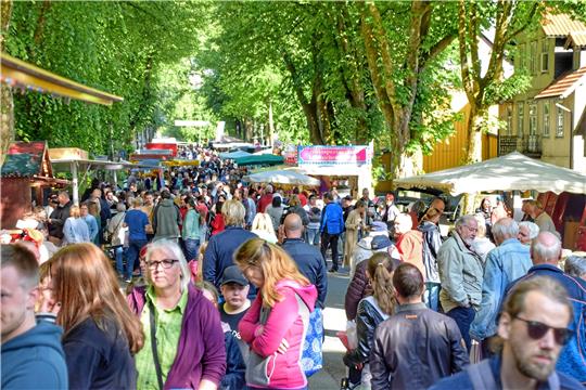 Rappelvoll ist es auf der Bornhardtstraße beim Oberharzer Bergbauernmarkt, der pandemiebedingt für zwei Jahre auf Eis gelegt wurde.  Fotos: Neumann