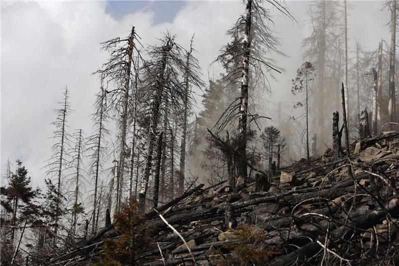 Feuer am Brocken: Feuerwehr Göttingen hilft beim Löschen Rauch steigt aus dem Einsatzgebiet am Brocken auf.