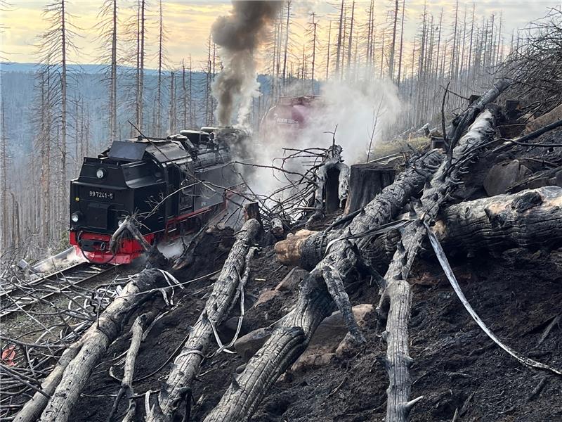 Großbrand auf dem Brocken – Besucher auf Gipfel gefangen Rauch steigt aus einem abgebrannten Waldstück am Brocken auf, während eine Lok der Brockenbahn Rauch ausstößt. Foto: Matthias Bein/dpa