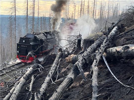 Rauch steigt aus einem abgebrannten Waldstück am Brocken auf, während eine Lok der Brockenbahn Rauch ausstößt. Foto: Matthias Bein/dpa