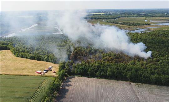Rauch steigt bei einem Moorbrand aus einem Waldstück auf.
