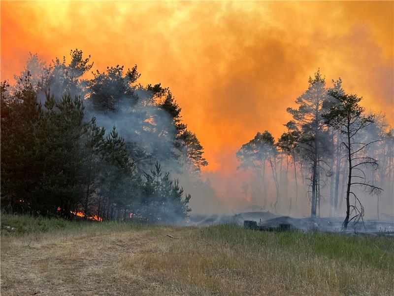 Die Lage in Waldbrandgebieten stabil Rauch und Flammen am ehemaligen Truppenübungsplatz in Lütheen. Der Einsatz gilt als schwierig, weil alte Munition im Boden liegt, die bereits auch detonierte.