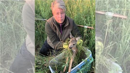 Rebecca Lüke freut sich über den Erfolg der Aktion am frühen Morgen. Das Einsatzteam spürt am Montag ein Zwillingspärchen bei Neuwallmoden auf. Foto: Biener