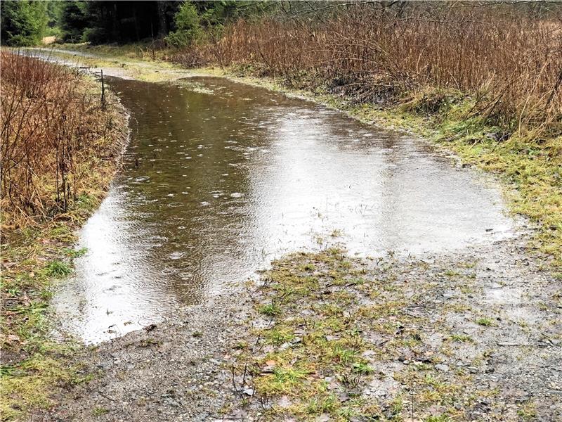 Regen, der auf den Wanderwegen um Braunlage in die Pfützen pladdert, ist keine Seltenheit. Die Harzstadt ist nach einer Statistik des Deutschen Wetterdienstes der niederschlagreichste Ort Niedersachsens.  Foto: Eggers