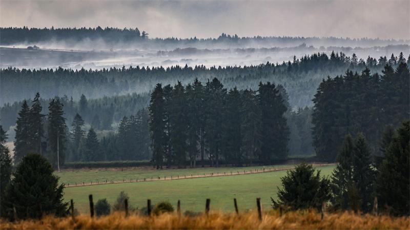 Waldbrand im Hohen Venn tobt weiter - Brandgeruch bis Köln Regen hilft, auffrischender Wind ist ungünstig.