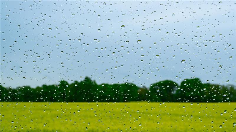 Regen wird es auch in den kommenden Tagen geben. 