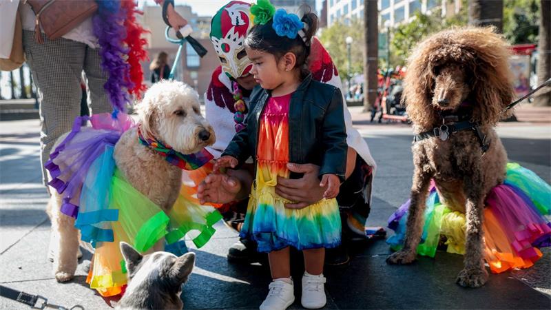 Zehntausende bei Pride-Paraden in New York und San Francisco Regenbogen-Kostüme gibt es auch für Vierbeiner.