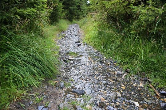 Regenwasser fließt über einen Wanderweg im Oberharz.