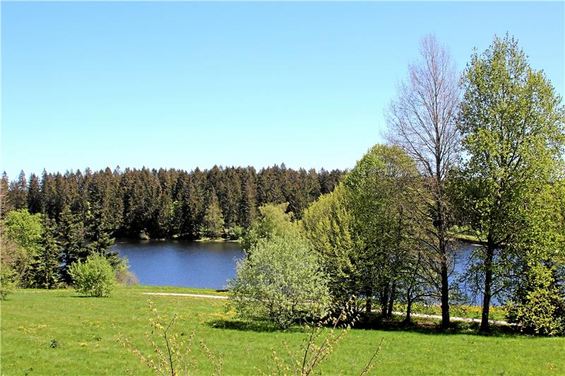 Rehazentrum Oberharz bietet einen exklusiven Blick auf den Schwarzenbacher Teich