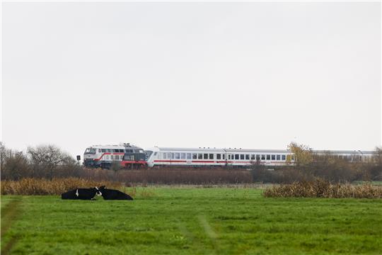 Reisende müssen sich von Freitag, 8. April, an auf Änderungen im Bahnverkehr zwischen Bad Harzburg/Goslar und Seesen/Kreiensen einstellen. Archivfoto: Frank Molter/dpa
