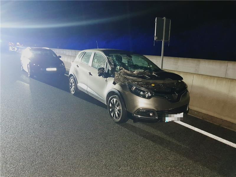 A7 bei Bockenem: Schweizer prallt mit Pkw auf Pferdeanhänger Rettungskräfte brachten den Opel-Fahrer ins Krankenhaus. Foto: Feuerwehr Rhüden
