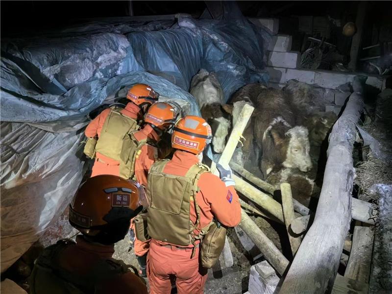 Drei Tote nach starkem Erdbeben in Nordwestchina Rettungskräfte in der Gemeinde Yamansu im Einsatz.