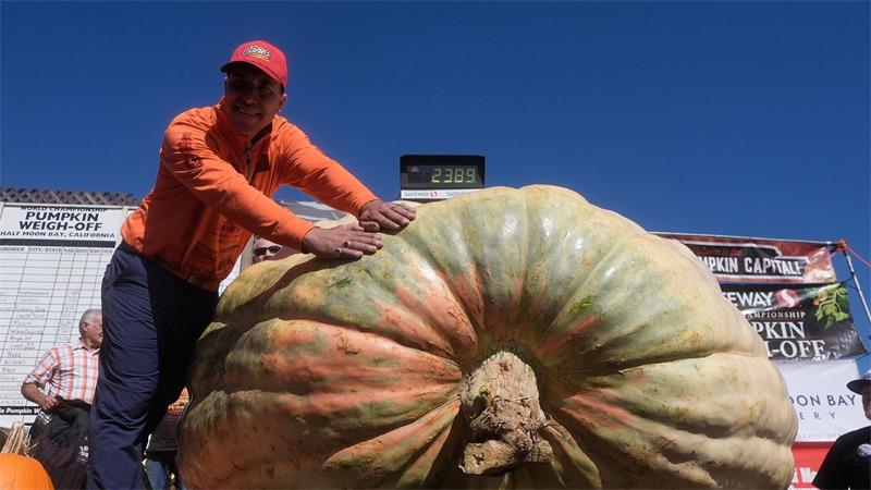 Riesenkürbis-Show in den USA: Travis Gienger aus Anoka feiert Platz eins bei der Pumpkin Weigh-Off