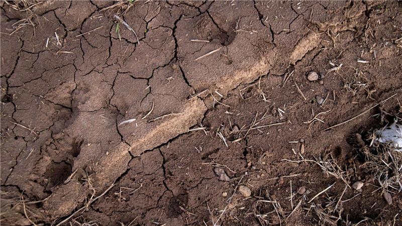Trockenperiode in Deutschland - was sind die Folgen? Risse durchziehen den Boden eines Ackers. Trockenheit macht Landwirten, Obst- und Weinbauern in Teilen Bayerns in diesem Jahr bereits früh zu schaffen. (Archivbild)