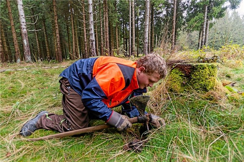 Robin Hintze Jugendwaldheim Brunnenbachsmühle