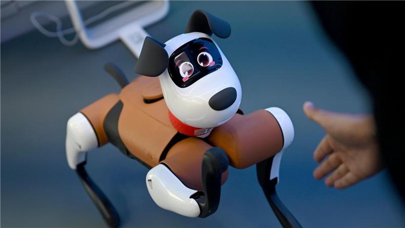 Vom Labor in die Realität: Wo China Roboter einsetzen will Roboter-Hunde tauchen bereits gelegentlich im Straßenbild chinesischer Großstädte auf.