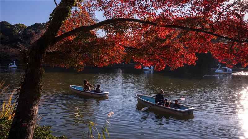 Romantik pur bietet der Herbst in Tokio. 