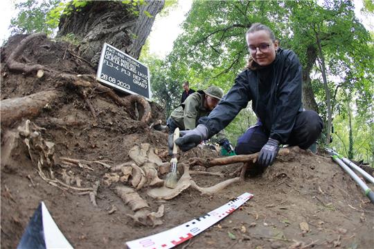 Romy Wirsich (Studentin) legt im Grabungsbereich einer historischen Richtstätte im Harz ein Skelett frei. Fotos: picture alliance/dpa | Matthias Bein