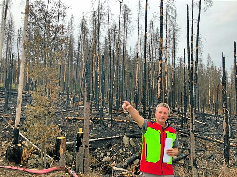 Nationalpark-Chef: „Totholz ist kein Brandbeschleuniger“ Ronald Pietsch