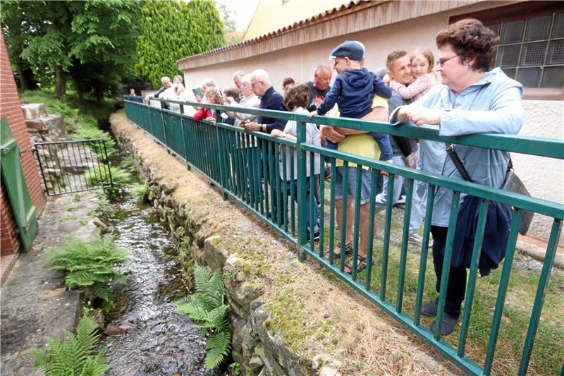 Pfingstpilgern in das Dorf an der Ecker Rudelbildung am Mühlgraben, der sich durch Abbenrode zieht: Die Schaulustigen wollen sehen, wie das Wasser das Rad antreibt. Fotos: Neuendorf, Privat, Gereke