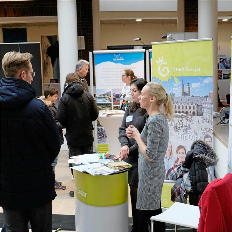 Rückkehrertag im Kreishaus Goslar: An Ständen informieren Unternehmen, Verbände und Kommunen von den Vorzügen der Region und ihrer Organisation und werben für den Standort Harz. Foto: Strache