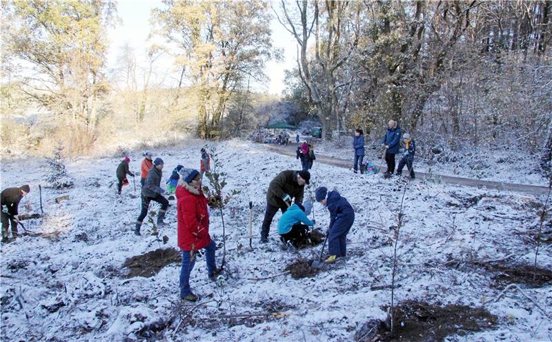 Neues Wäldchen für Ostlutter Rund 1000 Quadratmeter misst das Flurstück bei Ostlutter, auf dem die vielen Helfer einen neuen Wald anlegen. Statt wie einst Fichten wachsen dort nun Eichen, Linden und Kirschen.