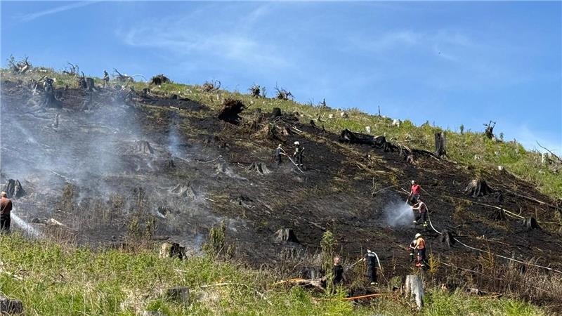 Rund 1,2 Hektar Fläche brennen bei Schierke im Harz. Die Feuerwehr hat den Brand...