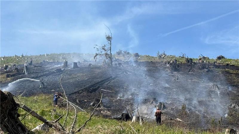 Rund 1,2 Hektar Fläche brennen bei Schierke im Harz. Die Feuerwehr hat den Brand...