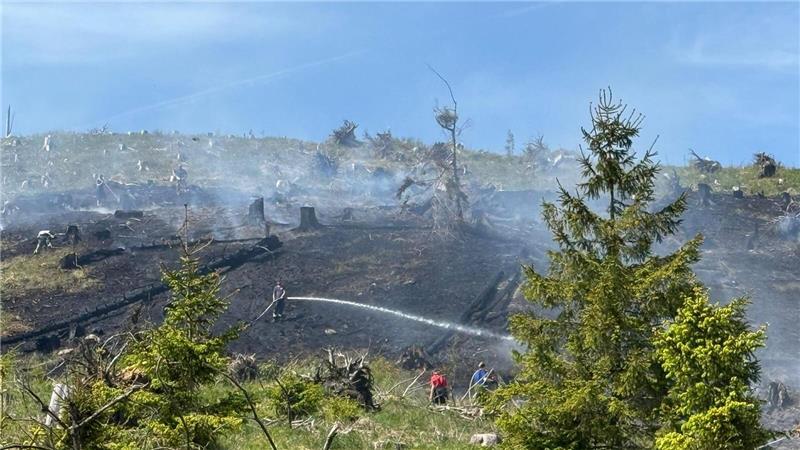 Rund 1,2 Hektar Fläche brennen bei Schierke im Harz. Die Feuerwehr hat den Brand...