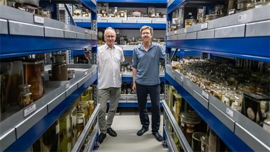 Rund 1,2 Millionen Objekte gehören zur Sammlung des Museums.