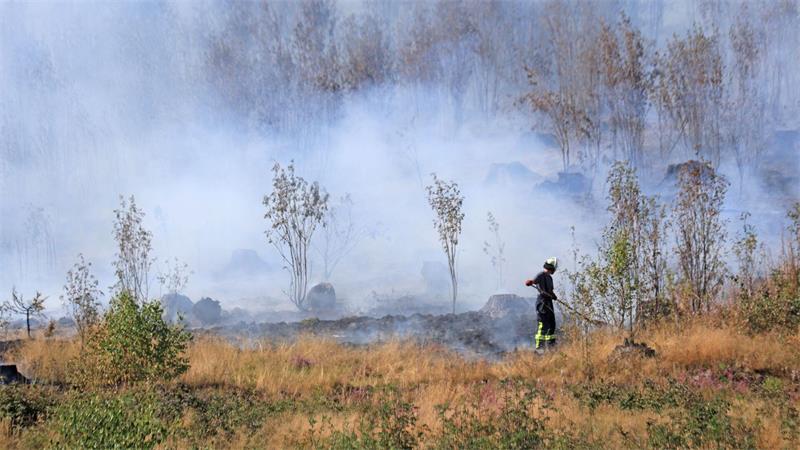 Waldbrand bei Benneckenstein unter Kontrolle Rund 250 Einsatzkräfte kämpfen bei Benneckenstein gegen einen Waldbrand.