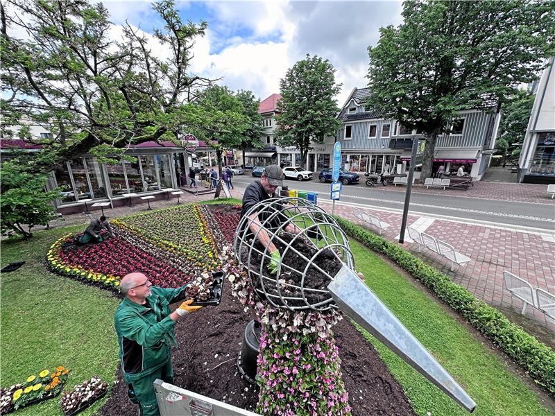 Rund 3500 Blumen sind nötig, um dem Pfau in der Stadtmitte ein sommerliches Federkleid zu verpassen.  Foto: Schlegel