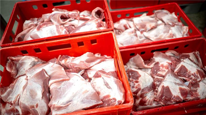 Heimliche Videos aus Schlachthof – Aktivisten müssen zahlen Rund 80 Prozent der Schlachthöfe in Deutschland betäuben Schweine mit CO2. (Archivfoto)