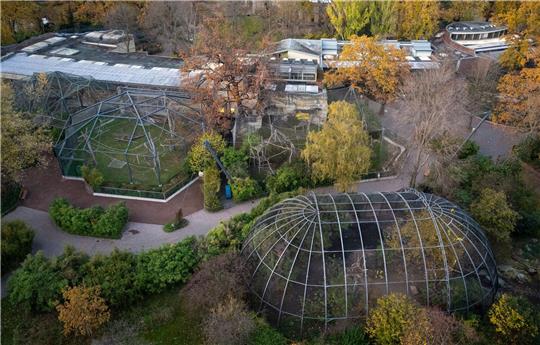 Rund fünf Wochen muss(te) der Berliner Zoo wegen eines Vogelgrippe-Falles schließen; an Heiligabend darf er - unter Auflagen - wieder öffnen.