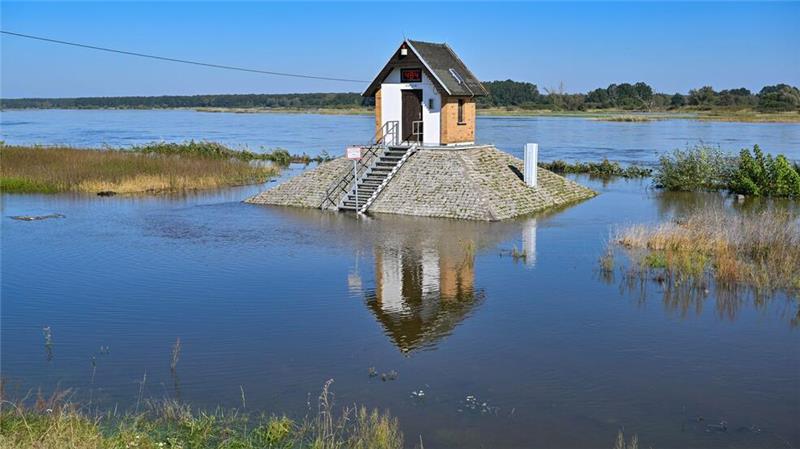 Oder-Spree-Kreis verstärkt ab Montag Hochwasser-Vorkehrungen Rund um das Pegelhäuschen auf einem Sockel am Oderufer in Ratzdorf (Oder-Spree-Kreis) ist schon der hohe Wasserstand zu sehen.