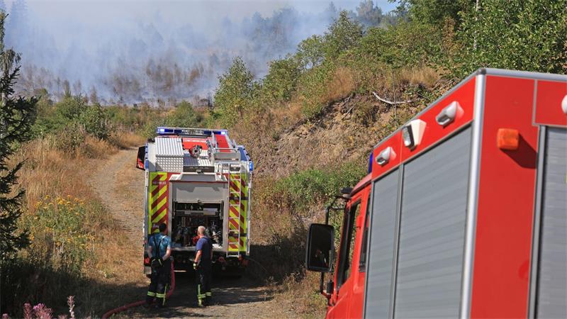 Waldbrand bei Benneckenstein unter Kontrolle Rund viereinhalb Hektar Wald sind nach Angaben der Feuerwehr von dem Feuer betroffen.